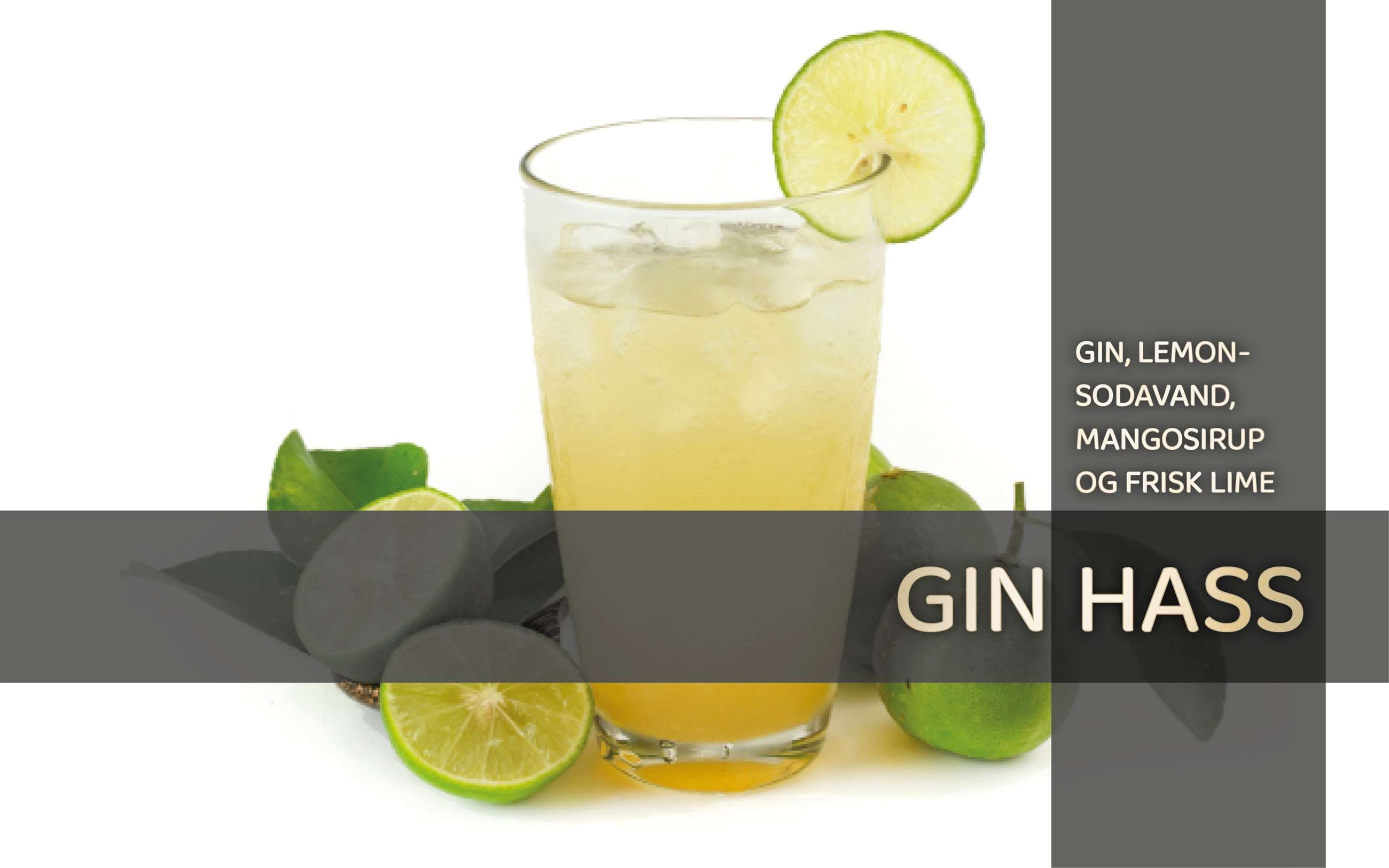 gin hass til hjemmeside